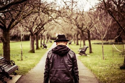 Rear view of man on footpath in park