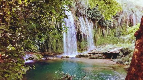 Scenic view of waterfall in forest