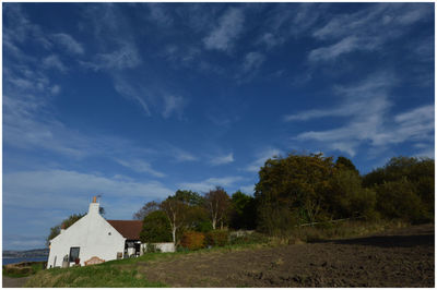 Trees on landscape against sky