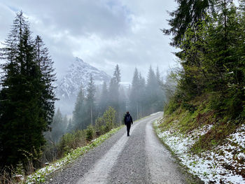 Rear view of man walking on road amidst trees against sky