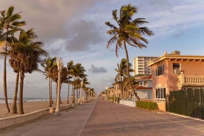 Palm trees at beach against sky