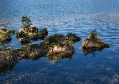 High angle view of reflection in lake