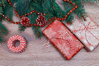 Close-up of christmas tree