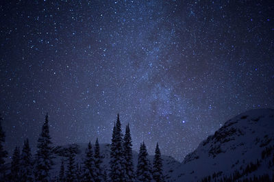 Low angle view of star field against star field