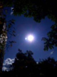 Low angle view of silhouette trees against sky