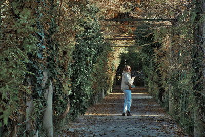 Man standing on footpath amidst trees in forest