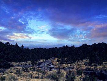 Scenic view of silhouette trees against sky during sunset