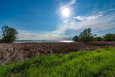 Scenic view of field against sky