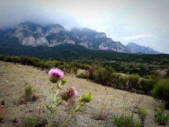 Scenic view of mountains against sky