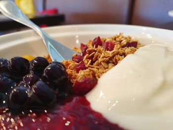 Close-up of food served in plate