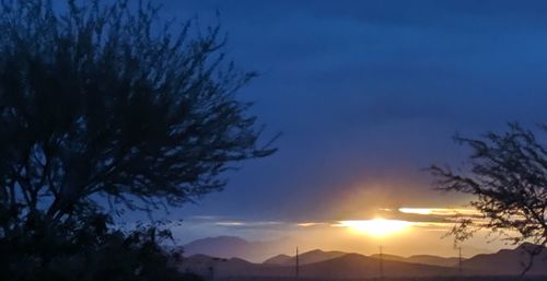 Low angle view of silhouette trees against sky during sunset