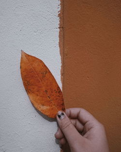 Close-up of person holding umbrella against wall