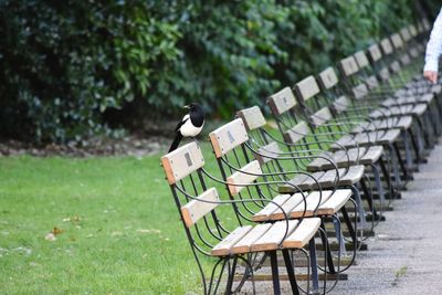 Empty bench in park