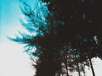 Low angle view of silhouette tree against clear sky