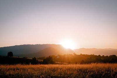 Scenic view of field against sky during sunset