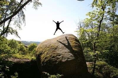 Low angle view of trees on rock against sky