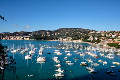 Sailboats moored in marina