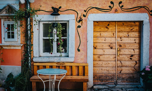 Potted plants on window of building