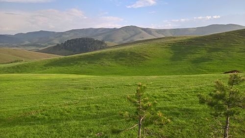 Scenic view of field against sky