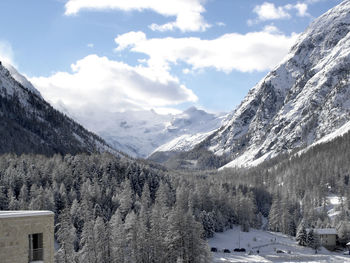 Trees by snowcapped mountains against sky