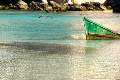 Birds on beach