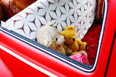 A sweet duo are ready for a ride in a red car 