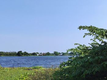 Scenic view of sea against clear blue sky