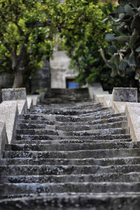Staircase in garden