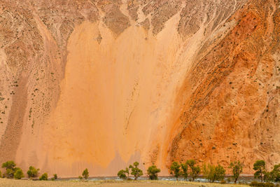 Scenic view of desert