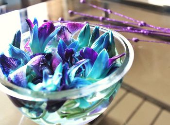 Close-up of purple flowers in glass bowl on table