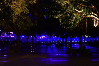 View of illuminated trees at night