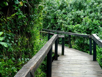 Footbridge in forest