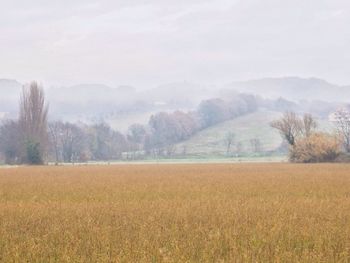 Scenic view of field against sky