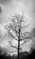 Low angle view of bare tree against cloudy sky