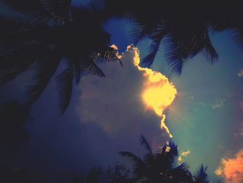 Low angle view of silhouette palm trees against sky during sunset