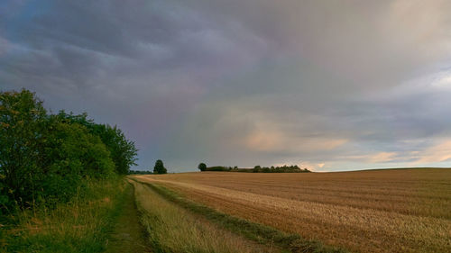 Scenic view of field against sky