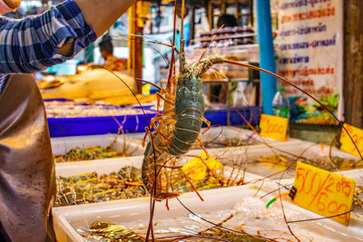 Fresh-caught seafood for sale at a street market