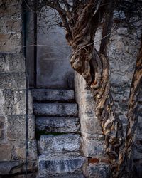 Steps of historic building