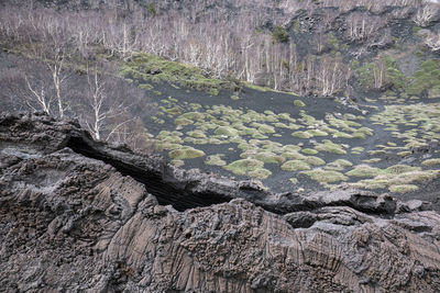 High angle view of rock formation on land