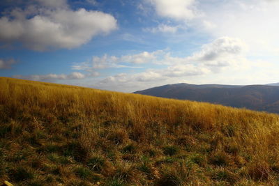 Scenic view of field against sky