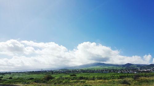 Scenic view of field against blue sky