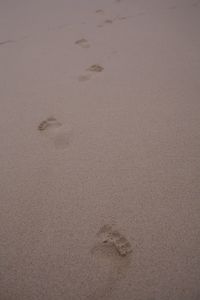 High angle view of footprints on sand at beach