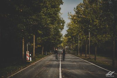 People walking on road amidst trees