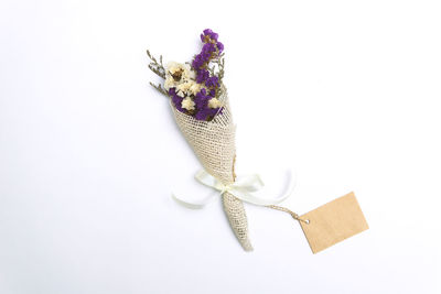 High angle view of flowering plant against white background