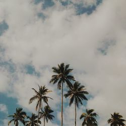 Low angle view of palm trees against cloudy sky