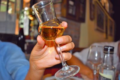 Cropped hand of man holding wineglass