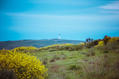 Scenic view of sea and buildings against sky