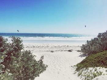 Scenic view of sea against clear blue sky