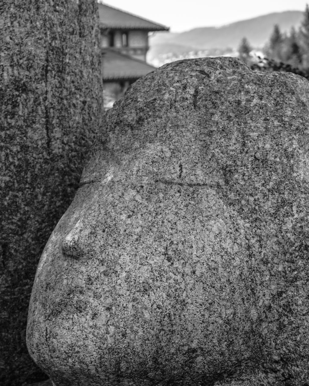 rock, black and white, black, architecture, soil, monochrome, monochrome photography, no people, built structure, day, nature, close-up, boulder, sky, focus on foreground, outdoors, tree, building exterior, sculpture, wall, asphalt, textured