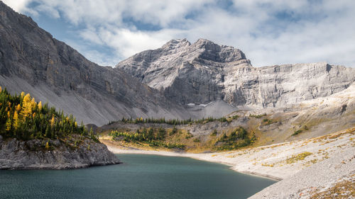 Fall in canadian rockies, colorful valley with mountain, golden larches and lake, galatea, canada